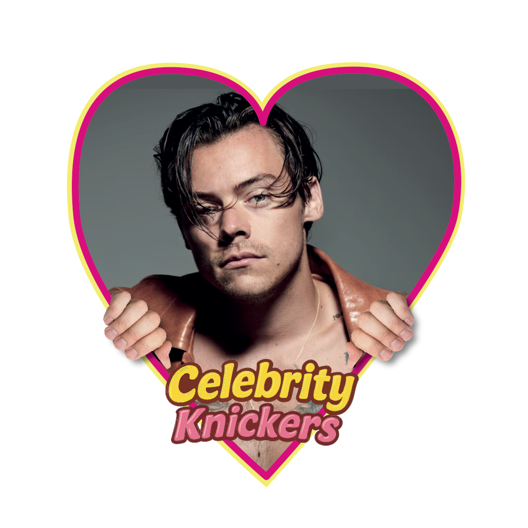 Celebrity Knickers: Harry Styles